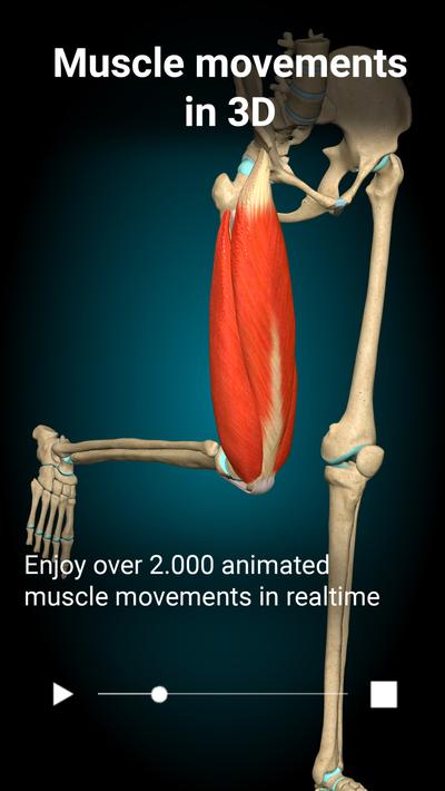 Anatomy Learning - 3D Anatomy screenshot 17