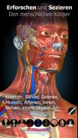 3D-Anatomie - Anatomy Learning Plakat