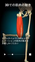 Anatomy Learning スクリーンショット 1