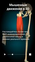 Anatomy Learning скриншот 1