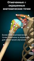 Anatomy Learning скриншот 2