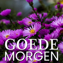 Dutch Good Morning Image APK