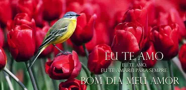 Bom Dia Tarde Noite Doce Amor