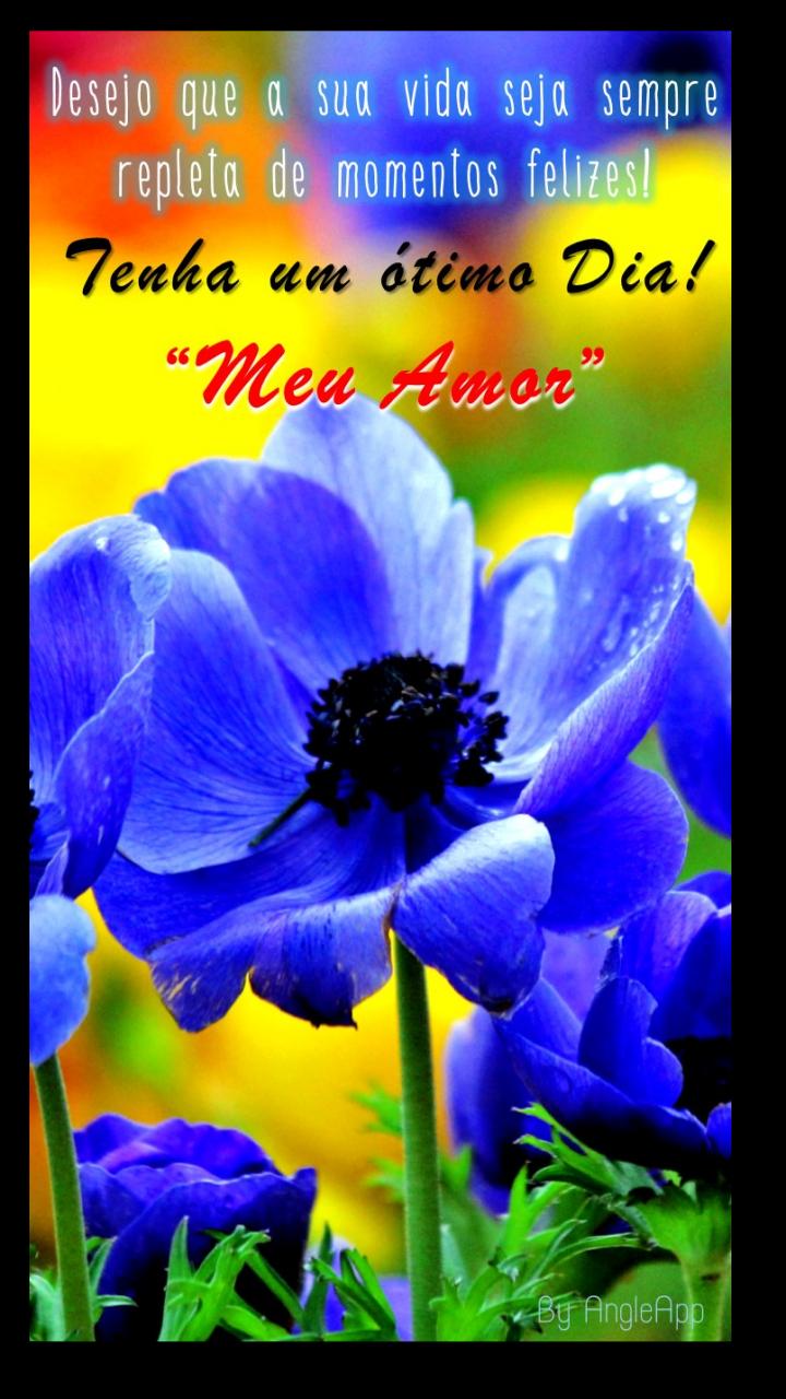 Download do APK de Bom Dia Boa Tarde & Noite para Android Download do APK de Bom Dia Boa Tarde & Noite para Android