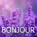 French Good Morning Image APK