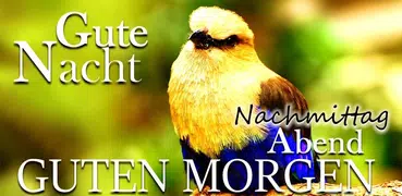 Guten Morgen Gute Nacht Zitate