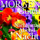 Guten Morgen Abend Gute Nacht APK