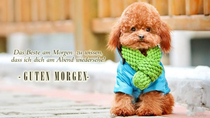 Get Zitate gute nacht guten abend Desktop Wallpaper Free Zitate Gute Nacht Guten Abend