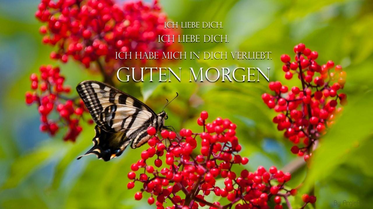 Verliebt guten bilder morgen Guten morgen