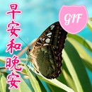Chinese Morning & Night GIFs APK
