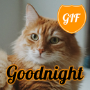 English Goodnight GIFs APK