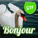 Bonjour en français GIFs APK