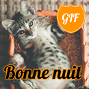 GIFs Bonne Nuit en Français APK
