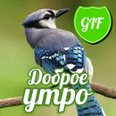 Russian Good Morning GIFs APK