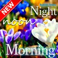 Good Morning & Goodnight Flower