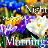 Good Morning Night flower wish أيقونة