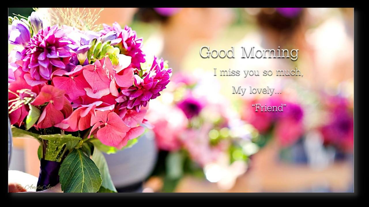 Download do APK de Good Morning Night flower wish para Android