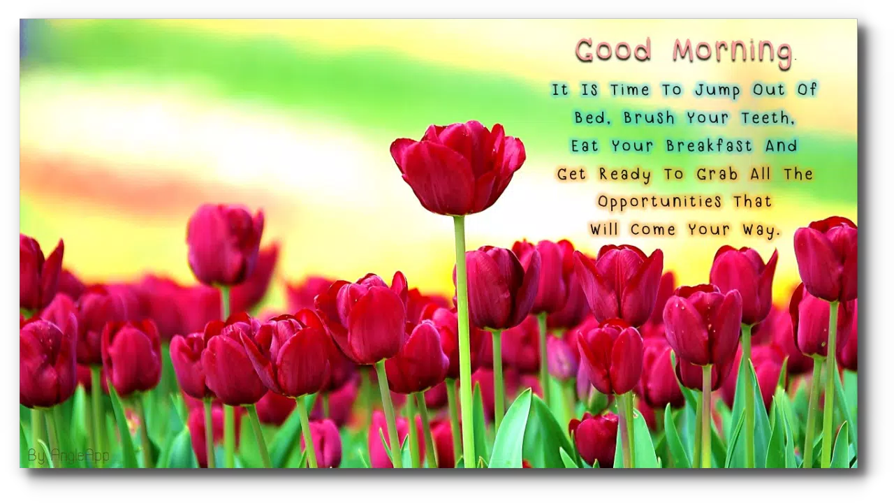 Good Morning Night Flower Wish Apk For Android Download