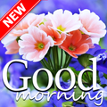 Good Morning Noon Evening Night everyday wishes