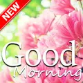 Have a Good Morning