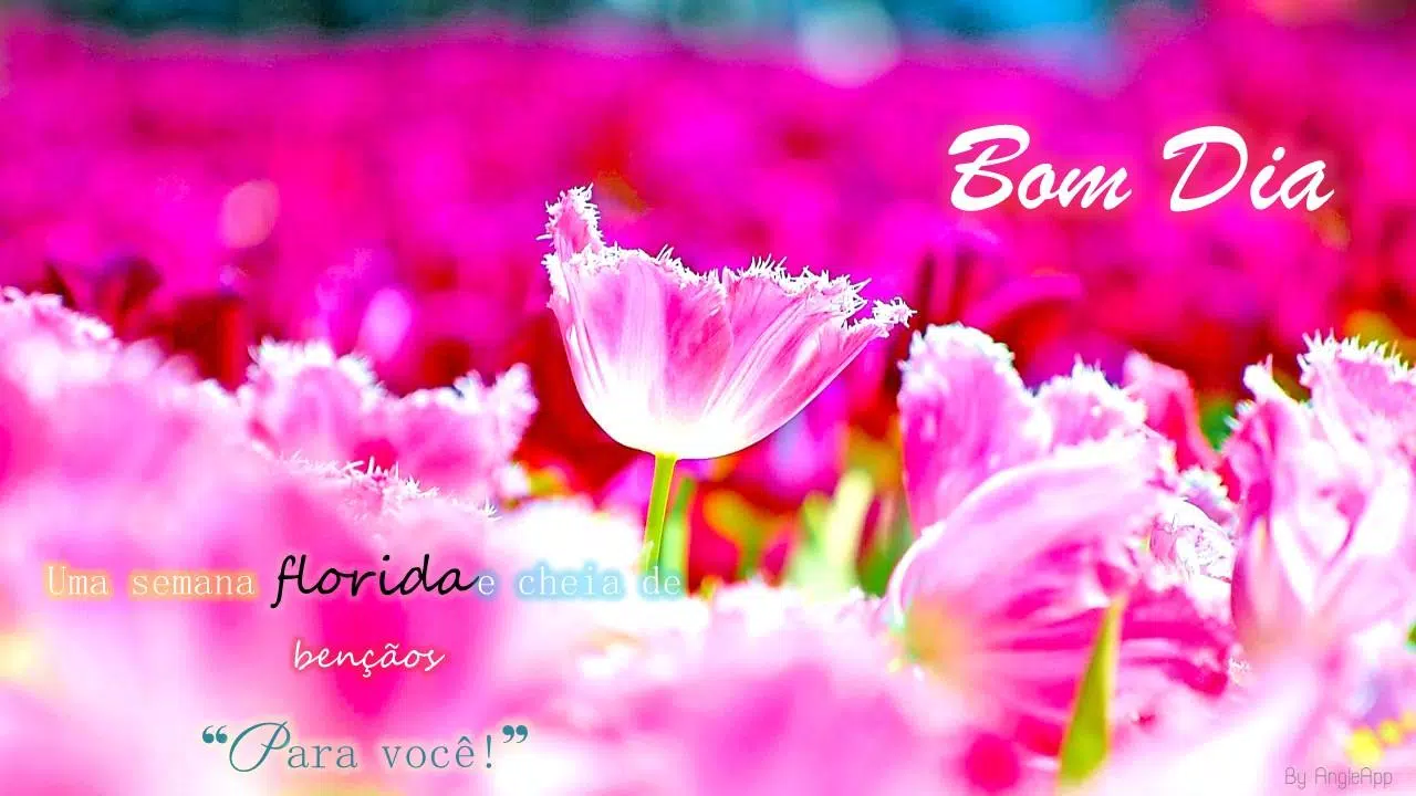 Download do APK de Imagens com Frases de Bom Dia para Android Download do APK de Imagens com Frases de Bom Dia para Android