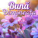 Romanian Good Morning Image APK