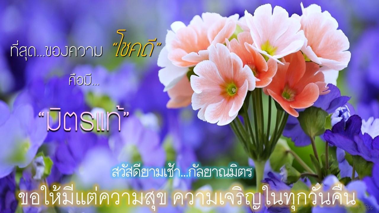 ภาพอรุณสวัสดิ์ สวัสดียามเช้า APK untuk Unduhan Android ภาพอรุณสวัสดิ์ สวัสดียามเช้า Apk Untuk Unduhan Android