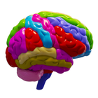 Brain and Nervous System 3D ไอคอน