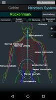 Gehirn und Nervensystem 3D Screenshot 1