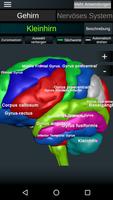 Gehirn und Nervensystem 3D Screenshot 2