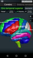 Cerebro y Sistema nervioso 3D captura de pantalla 2