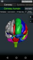 Cerveau et système nerveux capture d'écran 2