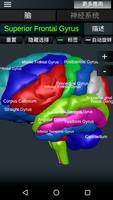 大脑和神经系统 截图 1