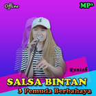 Salsa Bintan | Runtah icône