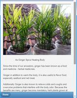 Geleneksel Şifalı Bitkiler: Çok Dilli Ekran Görüntüsü 1