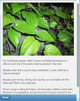 Geleneksel Şifalı Bitkiler: Çok Dilli Ekran Görüntüsü 2