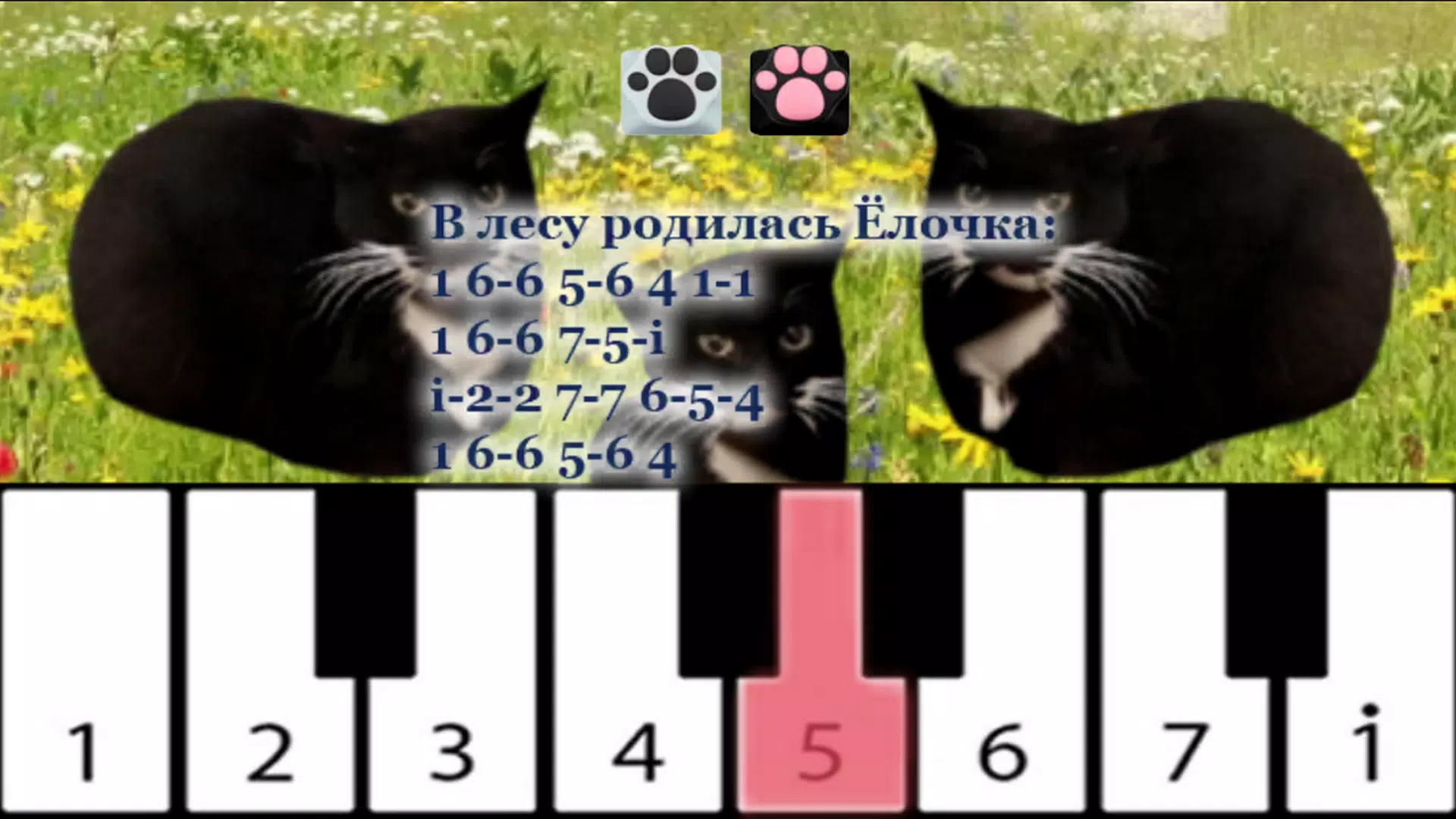 Maxwell the Cat piano APK for Android Download
