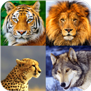 Animal Wallpapers APK