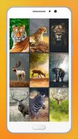 Animal Wallpapers Affiche