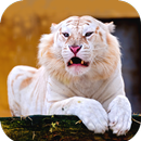 Animal Wallpaper HD APK
