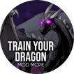 Train Your Dragon Mod