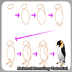 Animal Drawing Tutorial
