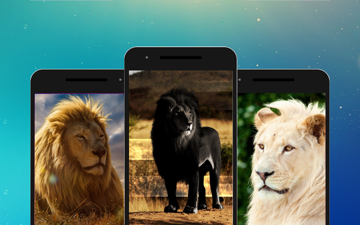 Lion Wallpapers APK .19 for Android – Download Lion Wallpapers APK Latest Version from Lion Wallpapers APK .19 for Android – Download Lion Wallpapers APK Latest Version from