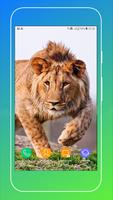 Animals Wallpaper Screenshot 3
