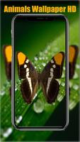 Live wallpaper magic touch تصوير الشاشة 1