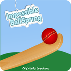 Impossible Ball Spring icône