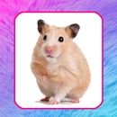 Звуки животных для детей-APK