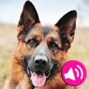 Animal sounds for babies-APK