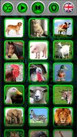 Sons d'animaux Affiche