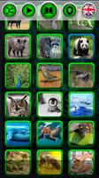 Sons d'animaux capture d'écran 2